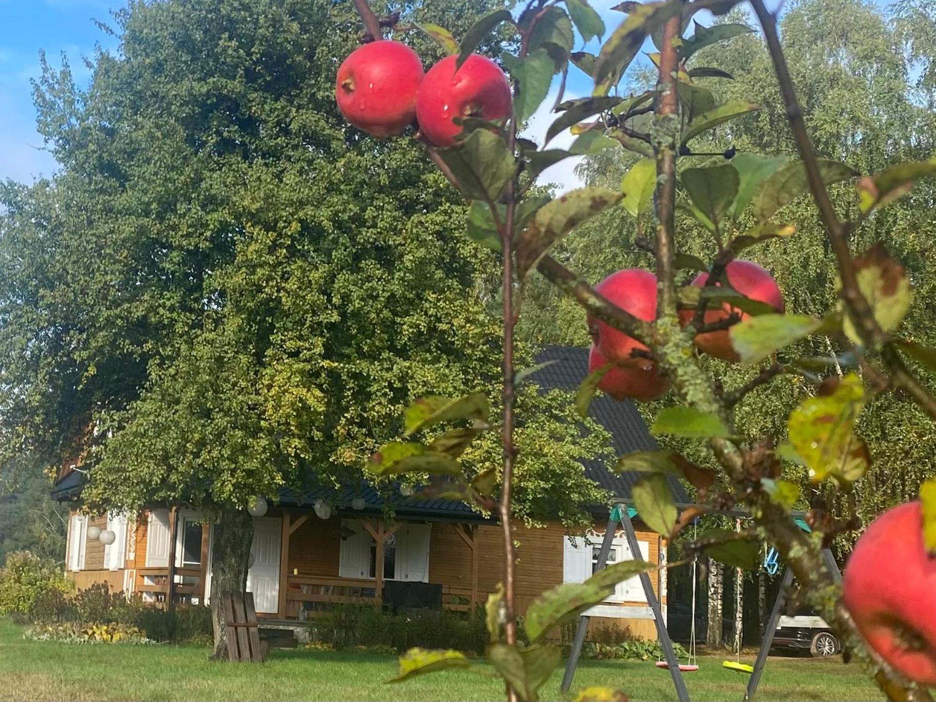 Wakacyjny Dom W Sakach Villa Kleszczele Luaran gambar